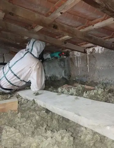 Spcialiste du traitement des bois dans le Var
