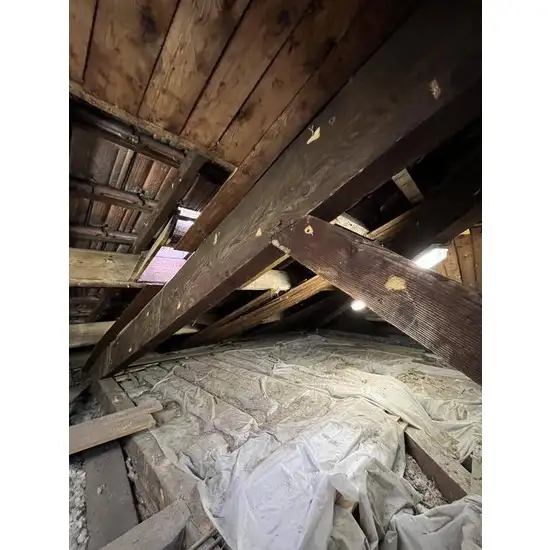 TECHNIQUES DE TRAITEMENTS DE BOIS SUITE A UNE ATTAQUE DE CAPRICORNE A OLLIOULES DANS LE VAR 83