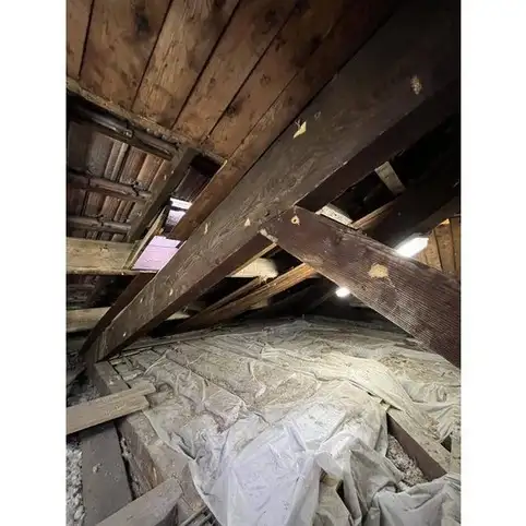 TECHNIQUES DE TRAITEMENTS DE BOIS SUITE A UNE ATTAQUE DE CAPRICORNE A OLLIOULES DANS LE VAR 83