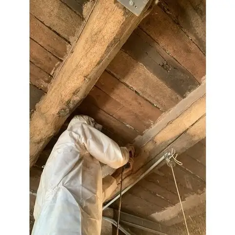 Diagnostiqueur prsence d'insectes  larves xylophages, traitement des bois d'une maison au Beausset dans le var 83