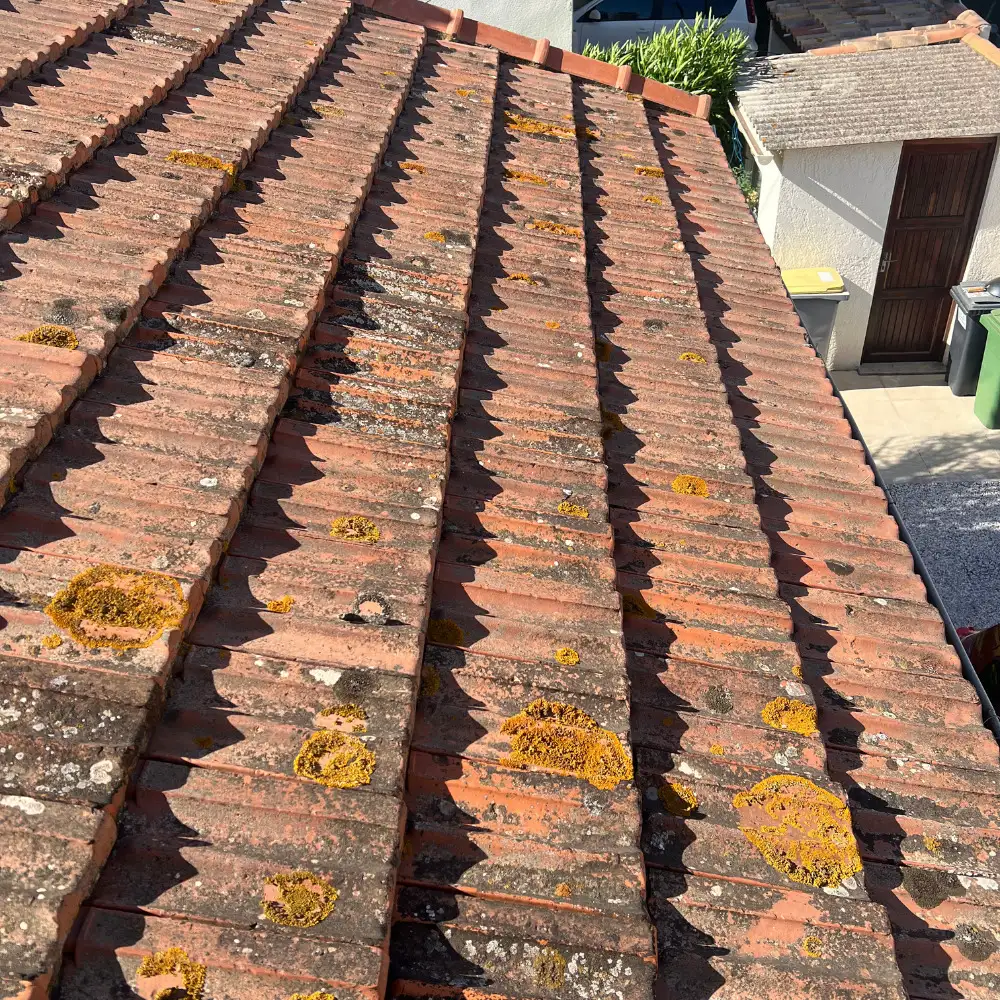 Réfection de toiture en tuiles plates à Toulon : Expertise et qualité