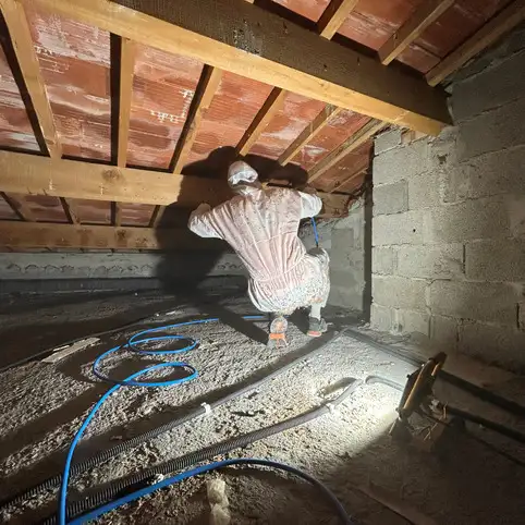  Traitement des bois dans les combles perdues  Toulon : durabilit et protectio
