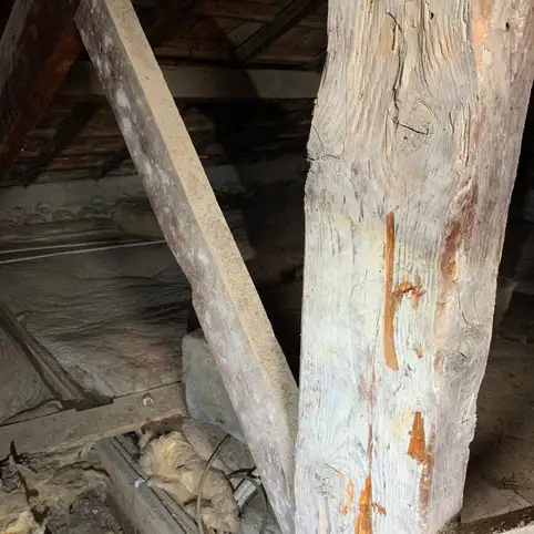 Traitement des bois dans les combles perdues  Toulon : durabilit et protection
