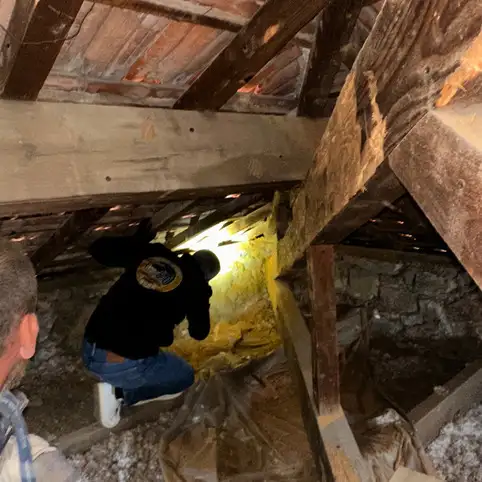 Traitement des bois dans le Var : prserver votre charpente durablement