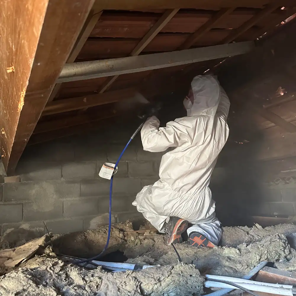 Traitement de charpente  Ollioules : prserver la solidit de votre maison