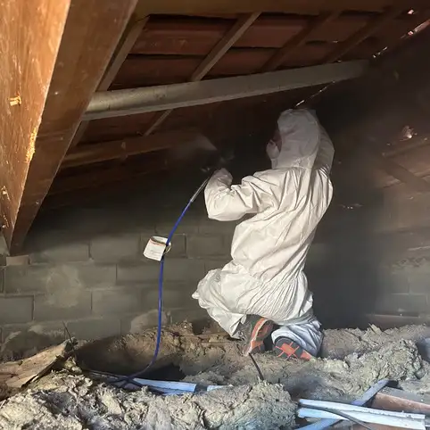 Traitement de charpente  Ollioules : prserver la solidit de votre maison