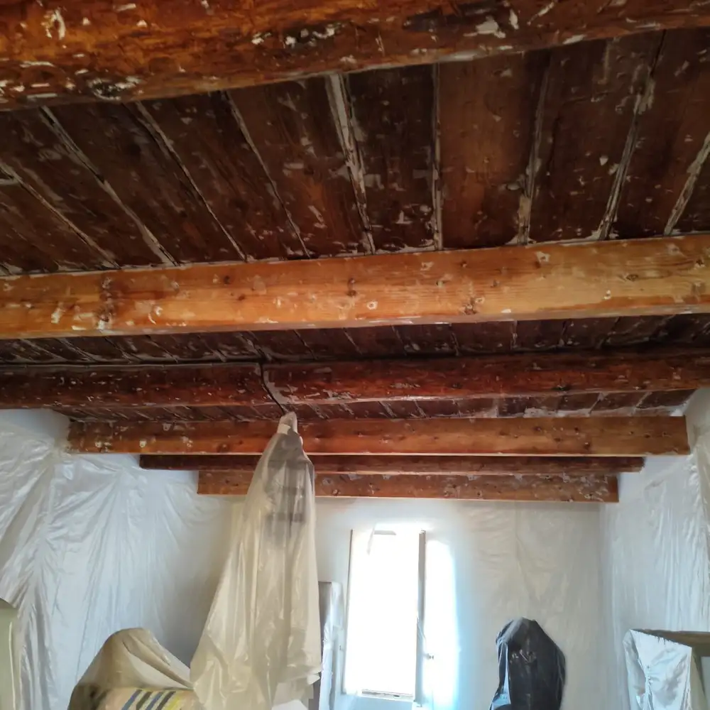 Traitement des bois  Toulon: protger sa charpente et prvenir les fuites 