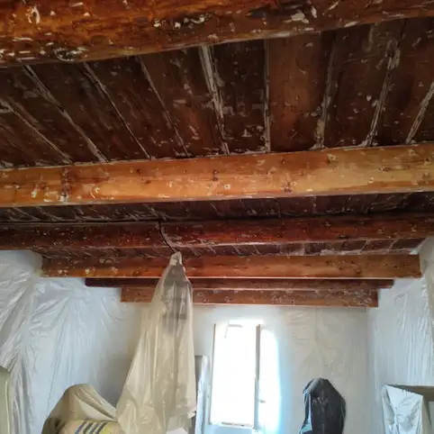 Traitement des bois  Toulon: protger sa charpente et prvenir les fuites 