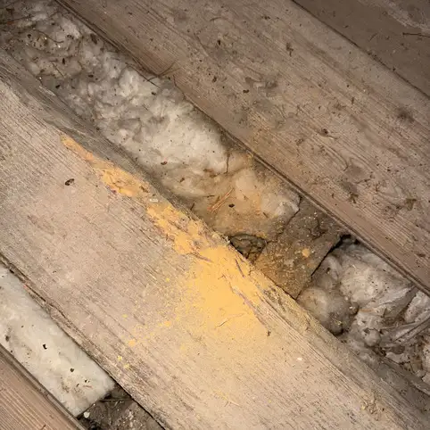 Traitement de charpente � Toulon : un travail discret mais essentiel